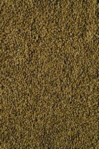 Fenugreek - Piskavica