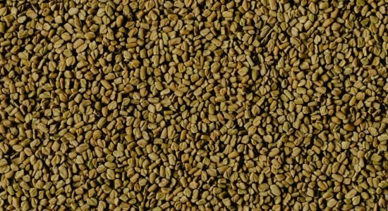 Fenugreek - Piskavica